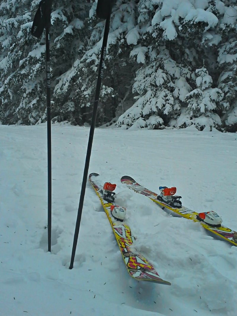 Illustration for article titled Ski road trip is booked!